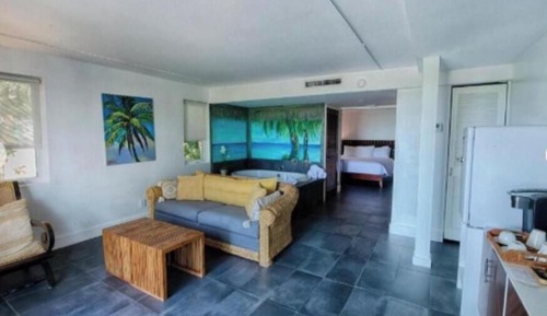 Iguana Suite