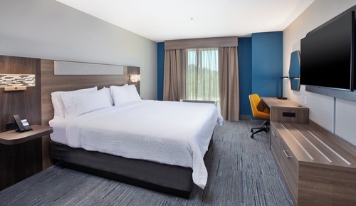 Suite, 1 King Bed