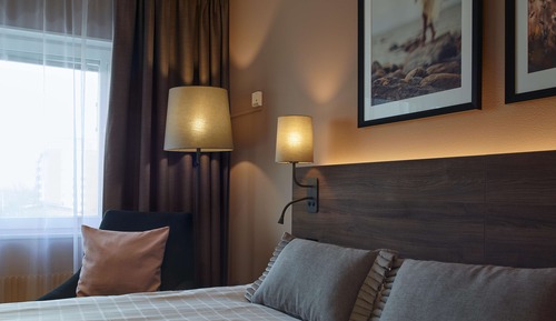 Room, 1 Queen Bed