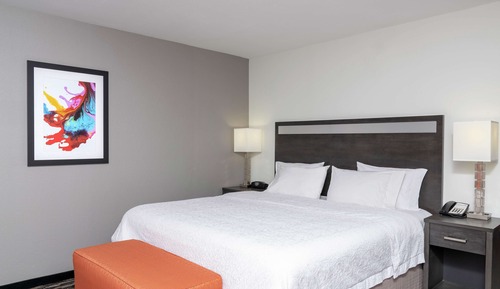 Room, 1 King Bed, Refrigerator