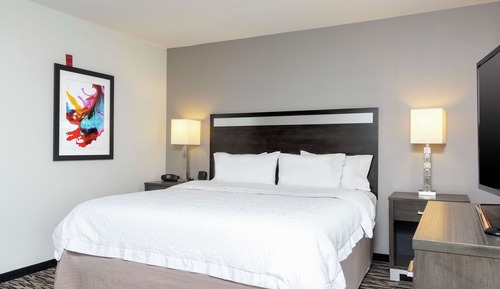Room, 1 King Bed, Accessible, Non Smoking