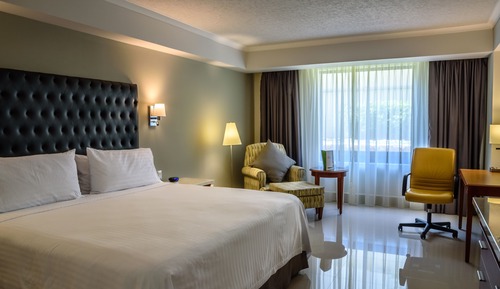 Standard Room, 1 King Bed (Minibar)