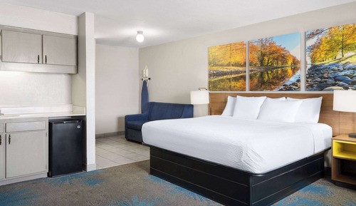 Standard Room, 1 King Bed NON SMOKING ROOM