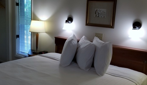 Standard Suite, 1 Queen Bed with Sofa bed, Accessible