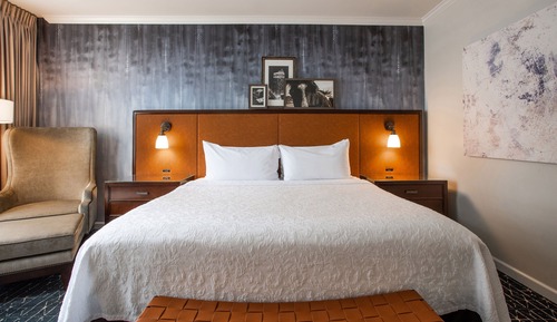 Room, 1 King Bed