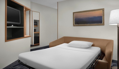 Studio, 1 King Bed with Sofa bed