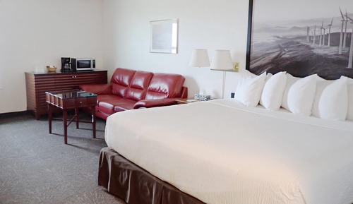 Studio Suite, 1 King Bed, Non Smoking