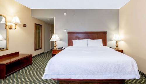 Deluxe Room, 1 King Bed, Non Smoking (Whirpool)