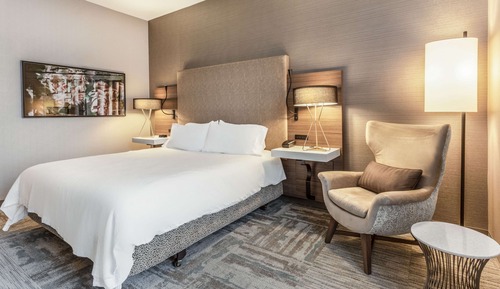 Room, 1 King Bed