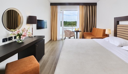 Classic Single Room, Balcony (Park side)