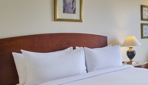 Room, 1 King Bed (High Floor, Nile View)