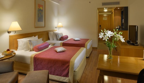 Superior Room City View Twin Bed