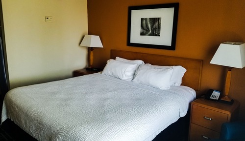 Room, 1 King Bed (Mobility/Hearing Access, Roll-In Shwr)