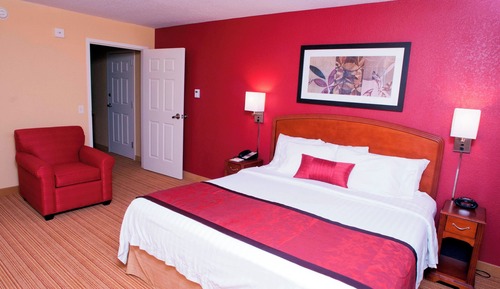 Junior Suite, 1 King Bed with Sofa bed