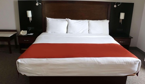 Room, 1 King Bed, Non Smoking