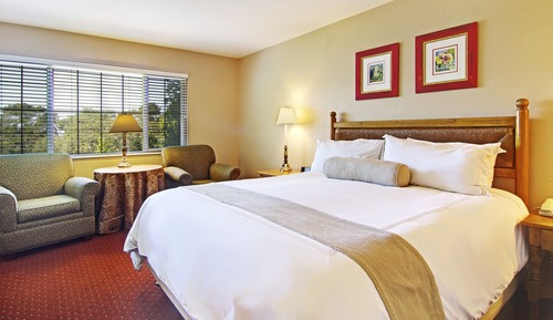 Standard Suite, 1 King Bed, Fireplace (Non Pet-Friendly)