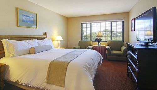Standard Room, 1 King Bed (Non Pet-Friendly)