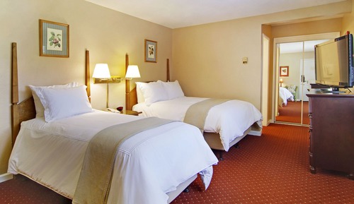 Economy Room, Multiple Beds (Pet-Friendly)