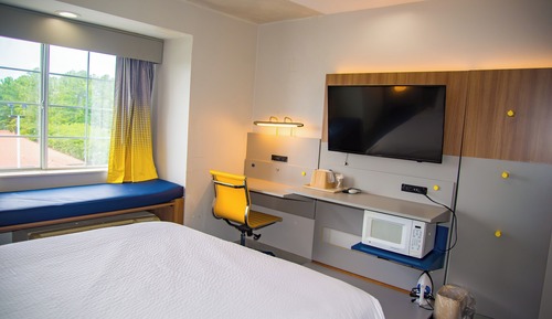 Room, 1 Queen Bed, Mobility Accessible, Non Smoking (Bathtub w/ Grab Bars)