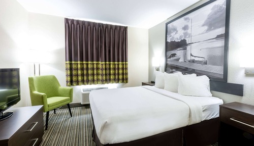 Standard Room, 1 King Bed, Non Smoking