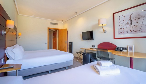 Triple Room (2 adults + 1 child)