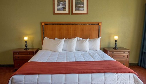 Standard Room, 1 King Bed