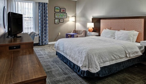 Room, 1 King Bed, Accessible, Non Smoking