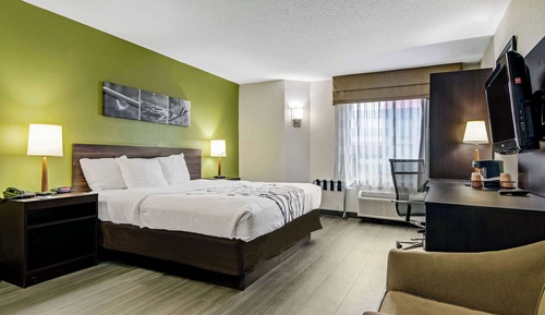 Standard Room, 1 Queen Bed, Non Smoking