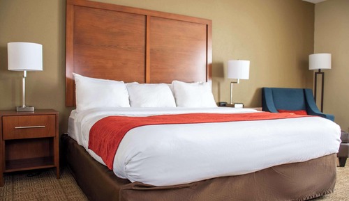 Room, 1 King Bed, Accessible, Non Smoking