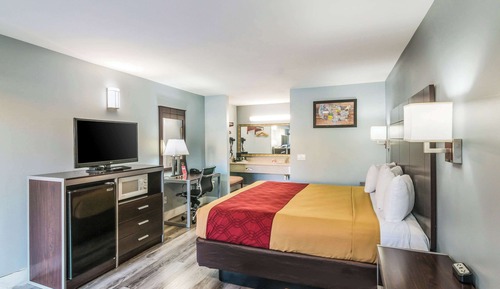 Room, 1 King Bed with Sofa bed, Non Smoking