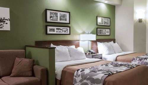 Suite, 1 King Bed with Sofa bed, Non Smoking