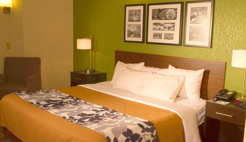 Standard Room, 1 King Bed, Non Smoking