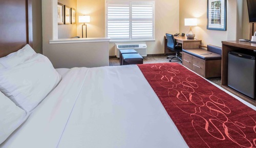 Suite, 1 King Bed with Sofa bed, Non Smoking