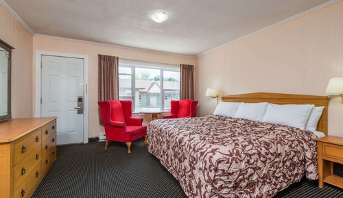 Room, 1 King Bed