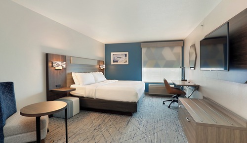 Suite, 1 King Bed with Sofa bed