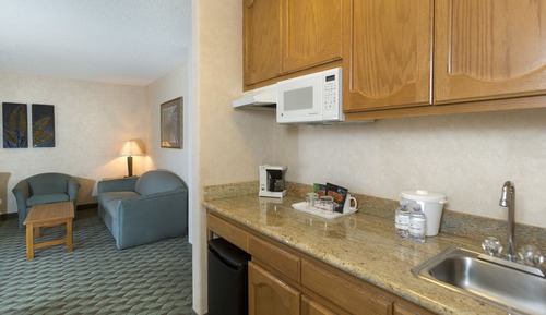 Suite, 1 King Bed with Sofa bed