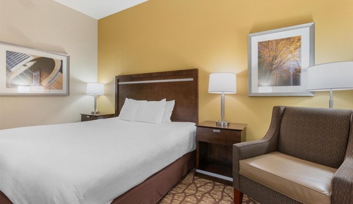 Standard Room, 1 King Bed, Accessible, Non Smoking (Walk-in Shower)