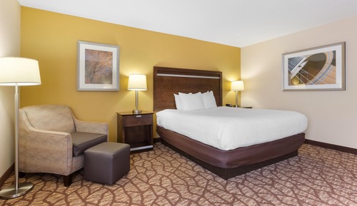 Standard Room, 1 King Bed, Non Smoking, Jetted Tub