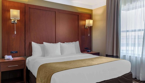 Suite, 1 King Bed, Accessible, Non Smoking (Roll-In Shower)