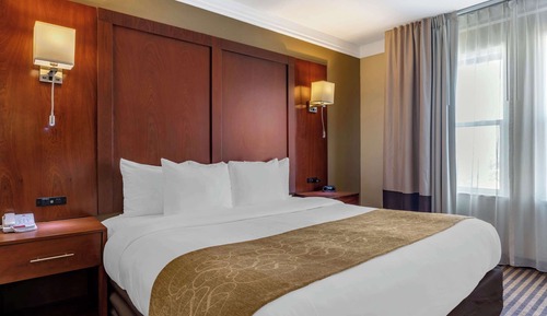 Executive Suite, 1 King Bed with Sofa bed, Non Smoking