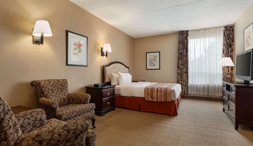 Room, 1 Queen Bed, Non Smoking (Pet-friendly)