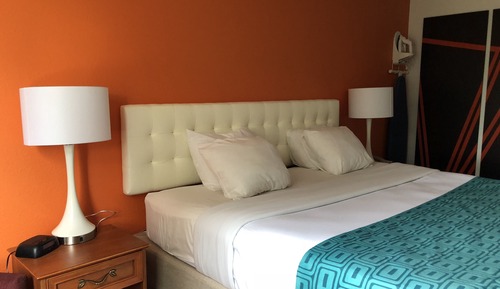 Suite, 1 King Bed