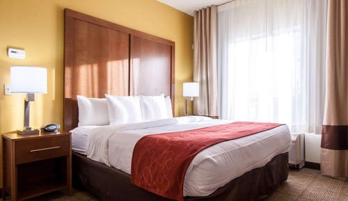 Suite, 1 King Bed with Sofa bed, Non Smoking