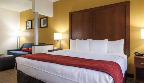 Suite, 1 King Bed with Sofa bed, Accessible, Non Smoking
