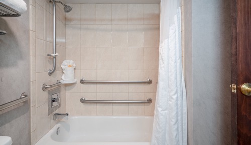 Room, 1 King Bed, Accessible (Mobility Tub)