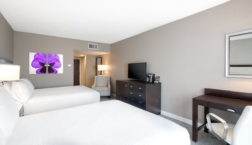 Standard Room, 2 Queen Beds