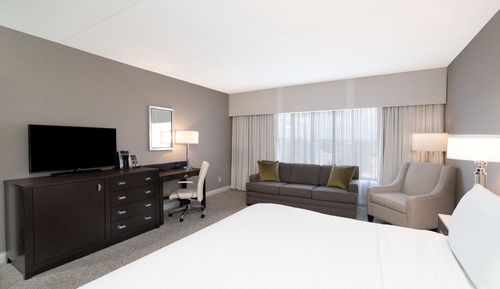Standard Room, 1 King Bed with Sofa bed