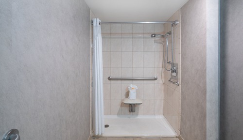 Room, 1 King Bed, Accessible (Mobility Roll-In Shower)