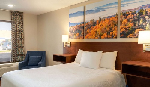 Room, 1 Queen Bed, Refrigerator & Microwave