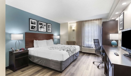Room, 1 King Bed, Accessible, Non Smoking
